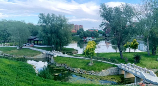 阿勒泰天鹅湖公园