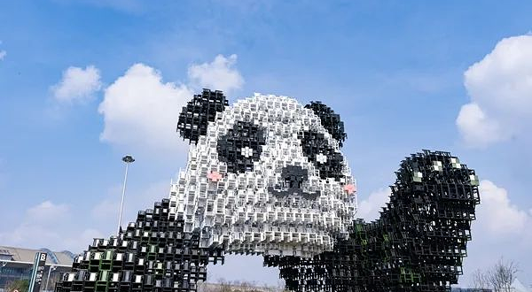 双流机场大熊猫