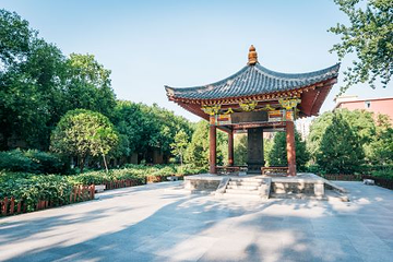 西北大学博物馆第 1 张图片