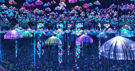 古郡·花果溪第 19 张图片