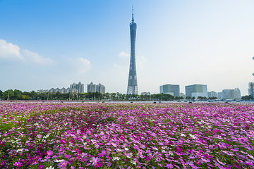 海心沙亚运公园第 6 张图片
