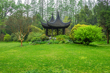 南京中山植物园第 17 张图片