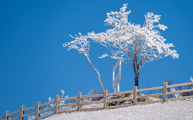 云上草原滑雪场第 32 张图片