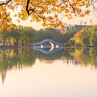 安庆市菱湖风景区