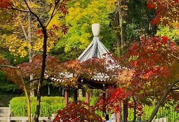 栖霞禅寺-明镜湖第 1 张图片