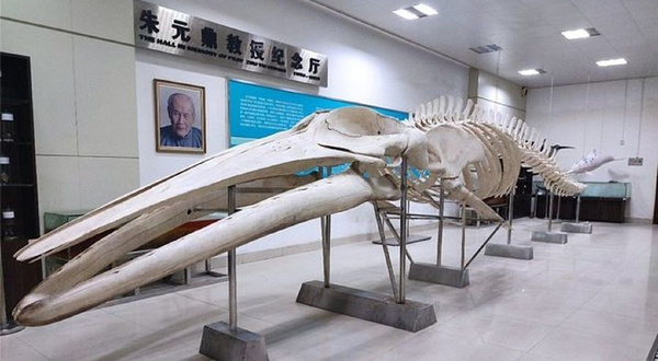 水生生物博物馆