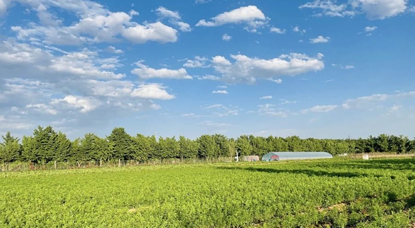 中农春雨休闲农场