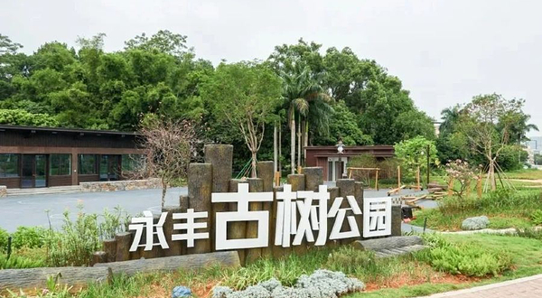 永丰古树公园