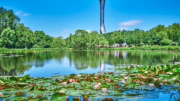 沈阳世博园-百合塔