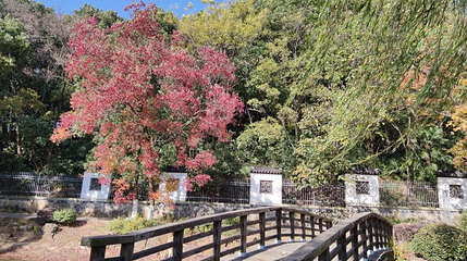 要塞旅游风景区第 1 张图片