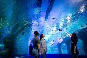 天津文化中心海底世界
