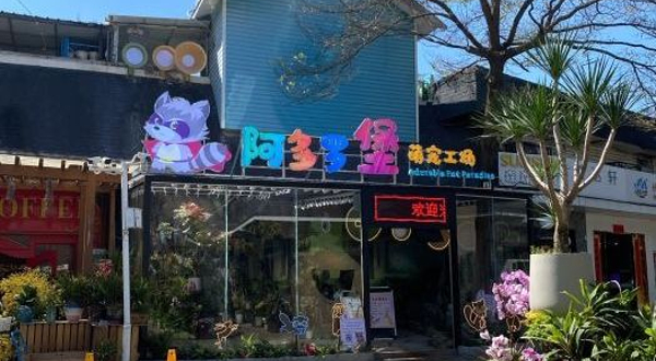 阿多罗堡萌宠工场