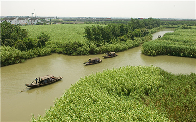 沙家浜风景区第 82 张图片