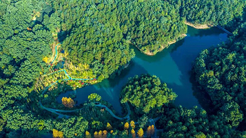 缙云山北温泉旅游度假区