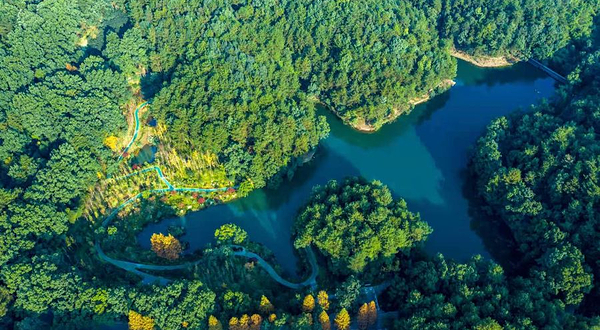 缙云山北温泉旅游度假区