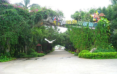 海南热带飞禽世界第 8 张图片