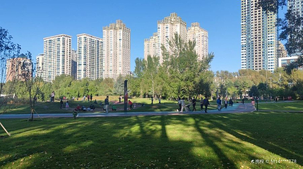 湘江公园第 1 张图片