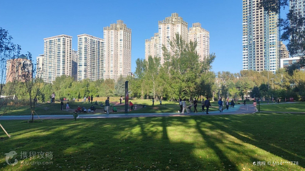湘江公园第 3 张图片