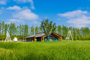 黄海森林公园第 16 张图片