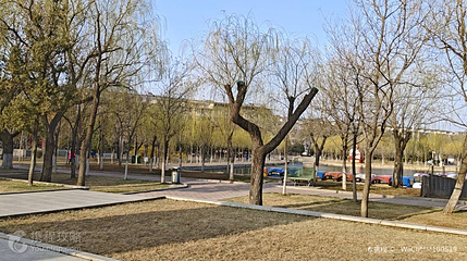 人民公园第 3 张图片