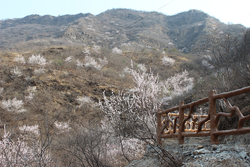 北京药王谷风景区第 51 张图片