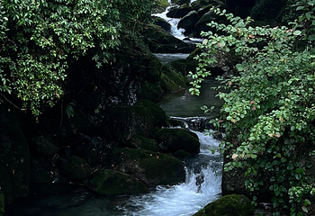青城后山第 43 张图片