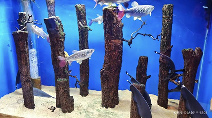 富地海洋乐园第 1 张图片
