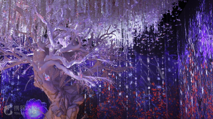 Nocte Mare第 3 张图片
