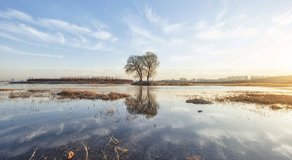 北龙湖湿地公园