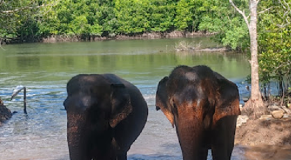Krabi Elephant Shelter