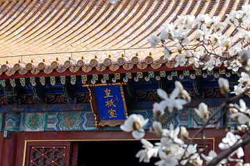 地坛公园第 13 张图片