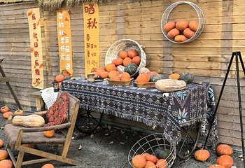 小森林露营地第 1 张图片