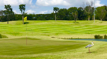 丹那美拉俱樂部