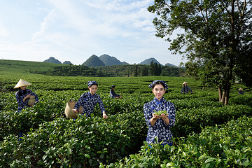积庆里红茶谷第 44 张图片