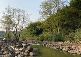 桥口坝国家森林公园