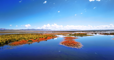 若尔盖花湖生态旅游区第 7 张图片