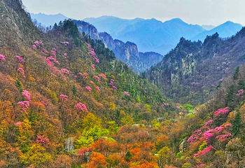 老界岭旅游度假区第 64 张图片