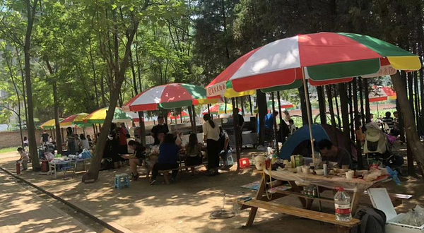 怪村亲子动物园