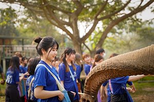 智慧大象保护营