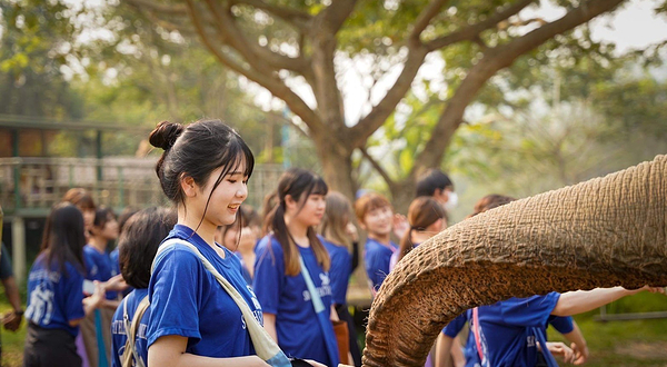 智慧大象保护营