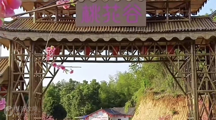 灰汤桃花谷第 4 张图片