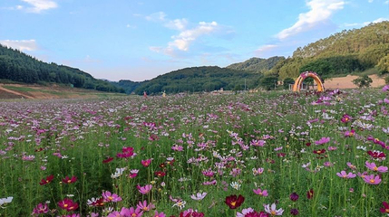 广东花川谷生态旅游度假区第 1 张图片