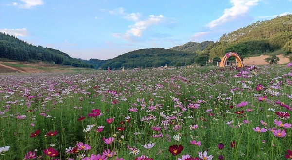 广东花川谷生态旅游度假区