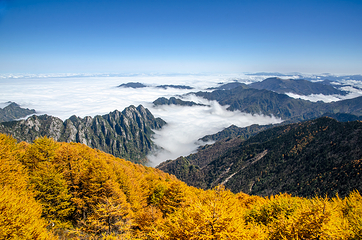 太白山国家森林公园第 6 张图片