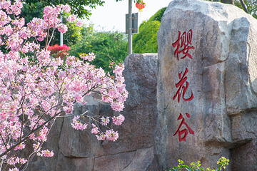 狐尾山公园第 2 张图片