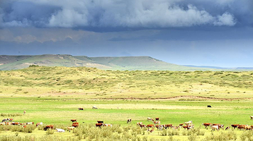 白音锡勒牧场景区