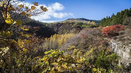 泰和山风景区第 9 张图片