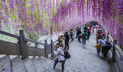 巴人河生态旅游区(三峡女人谷)第 54 张图片