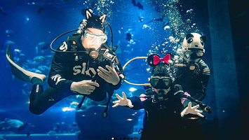 萌萌哒(PADI)潜水中心