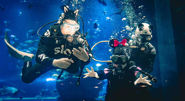 萌萌哒(PADI)潜水中心